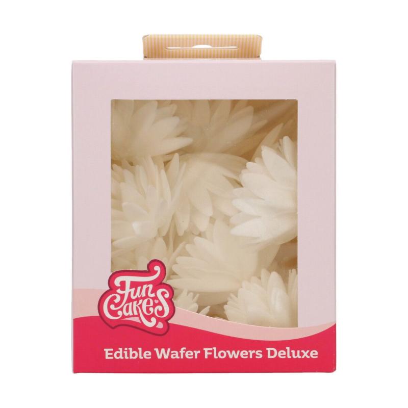 Vafl.kvety Deluxe Aster Medium biela 14ks/bal. F53790